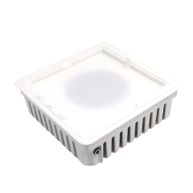 የባለሙያ የጥፍር አቧራ አቧራ